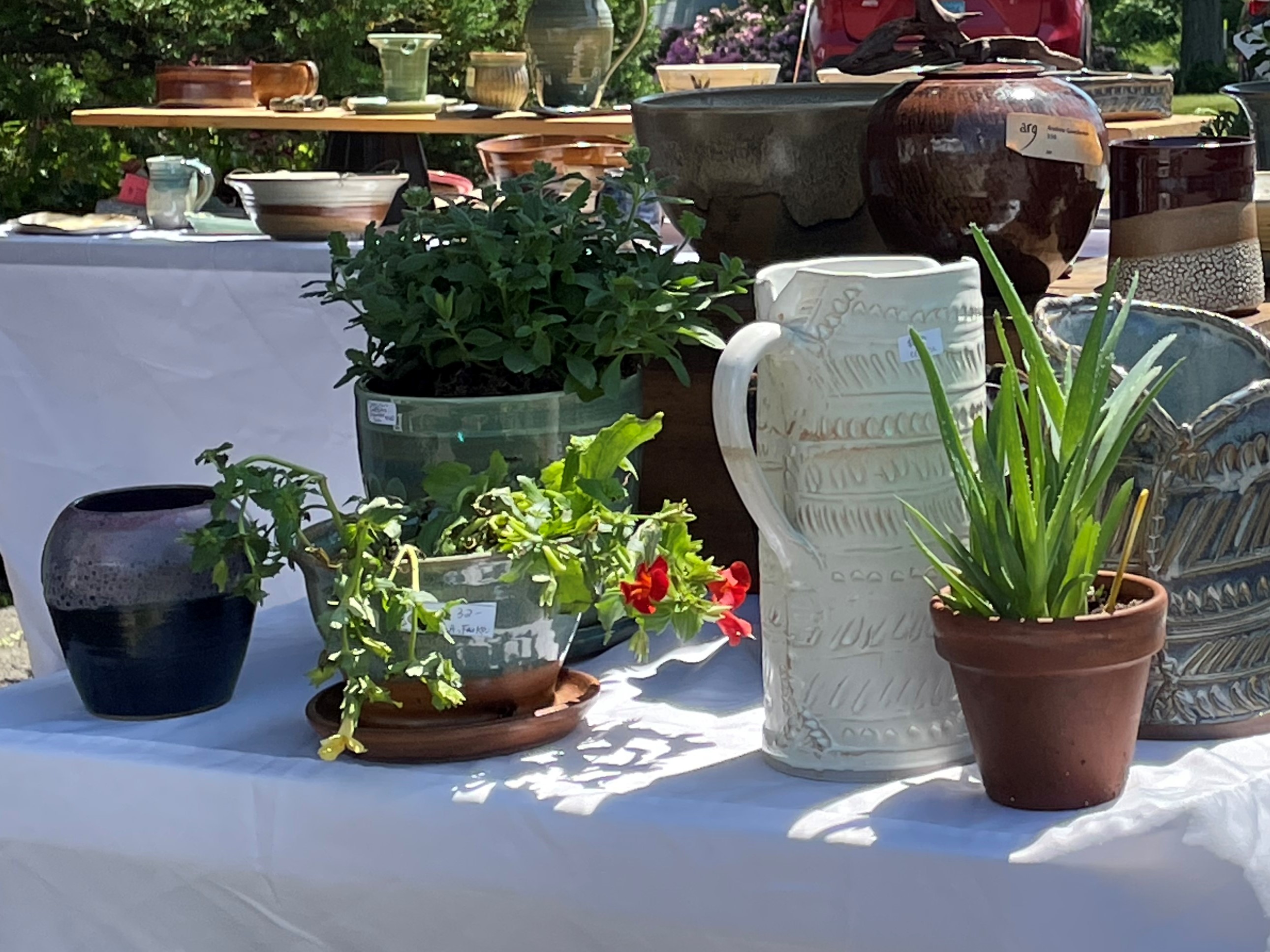 perennials and pots